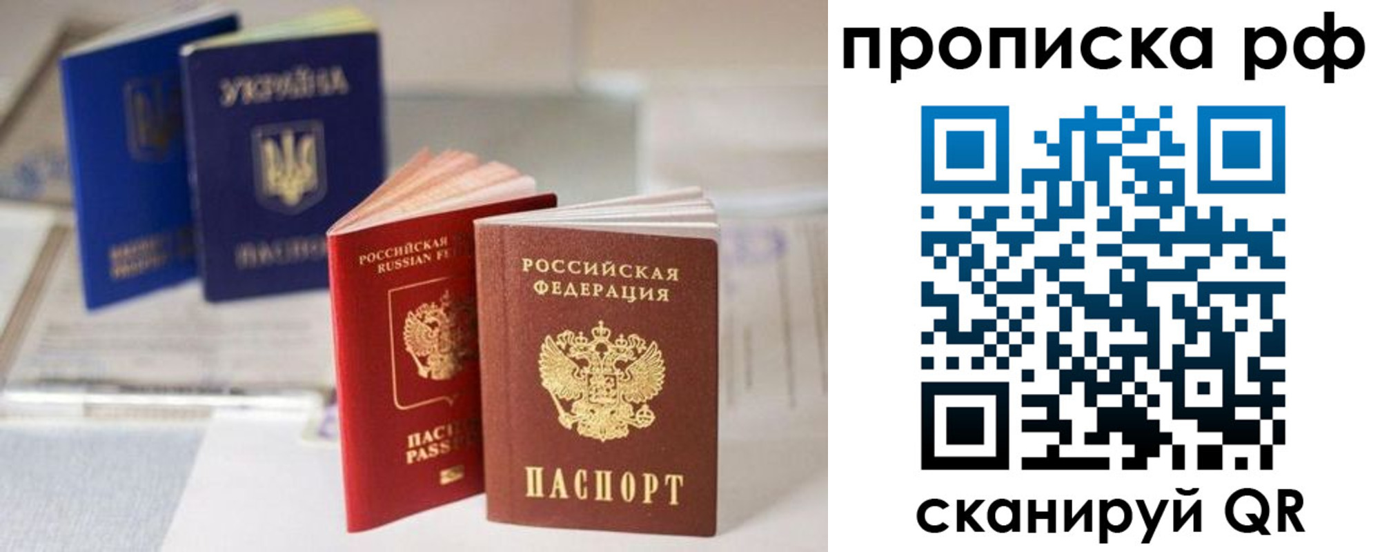 прописка от собственника в Королёве